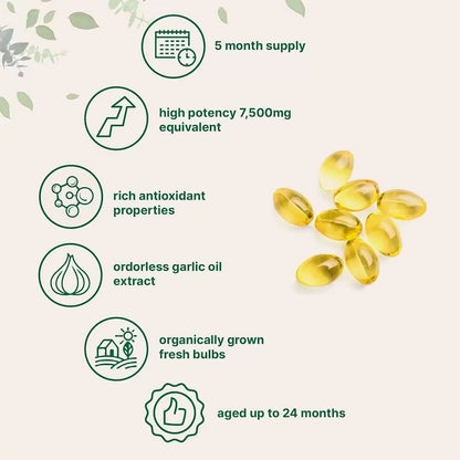 180Pcs Garlic Extract Softgel High Allicin Content Support Immunity Booster No Additives Daily Antioxidant Supplement for Adults